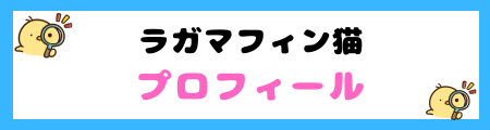 【初心者必見】ラガマフィン猫の特徴と飼い方を徹底解説