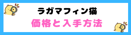 【初心者必見】ラガマフィン猫の特徴と飼い方を徹底解説