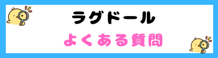 【初心者必見】ラグドールの特徴と飼い方を徹底解説