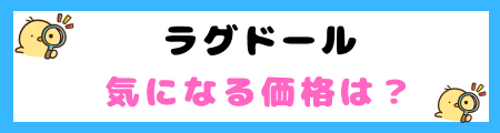 【初心者必見】ラグドールの特徴と飼い方を徹底解説