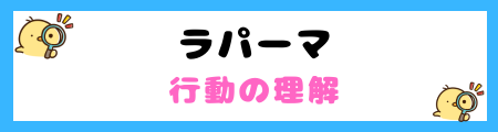 【初心者必見】ラパーマの特徴と飼い方を徹底解説