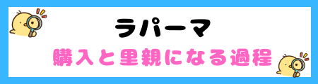 【初心者必見】ラパーマの特徴と飼い方を徹底解説