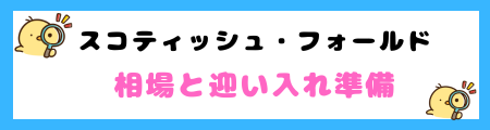スコティッシュ・フォールドってどんな猫？特徴と飼い方のポイント